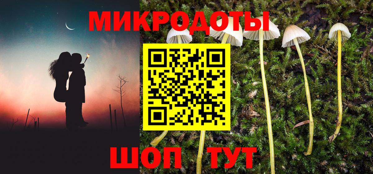 Галлюциногенные грибы GOLDEN TEACHER  Галлюциногенные грибы GOLDEN TEACHER  Новокубанск  Вход с VPN 